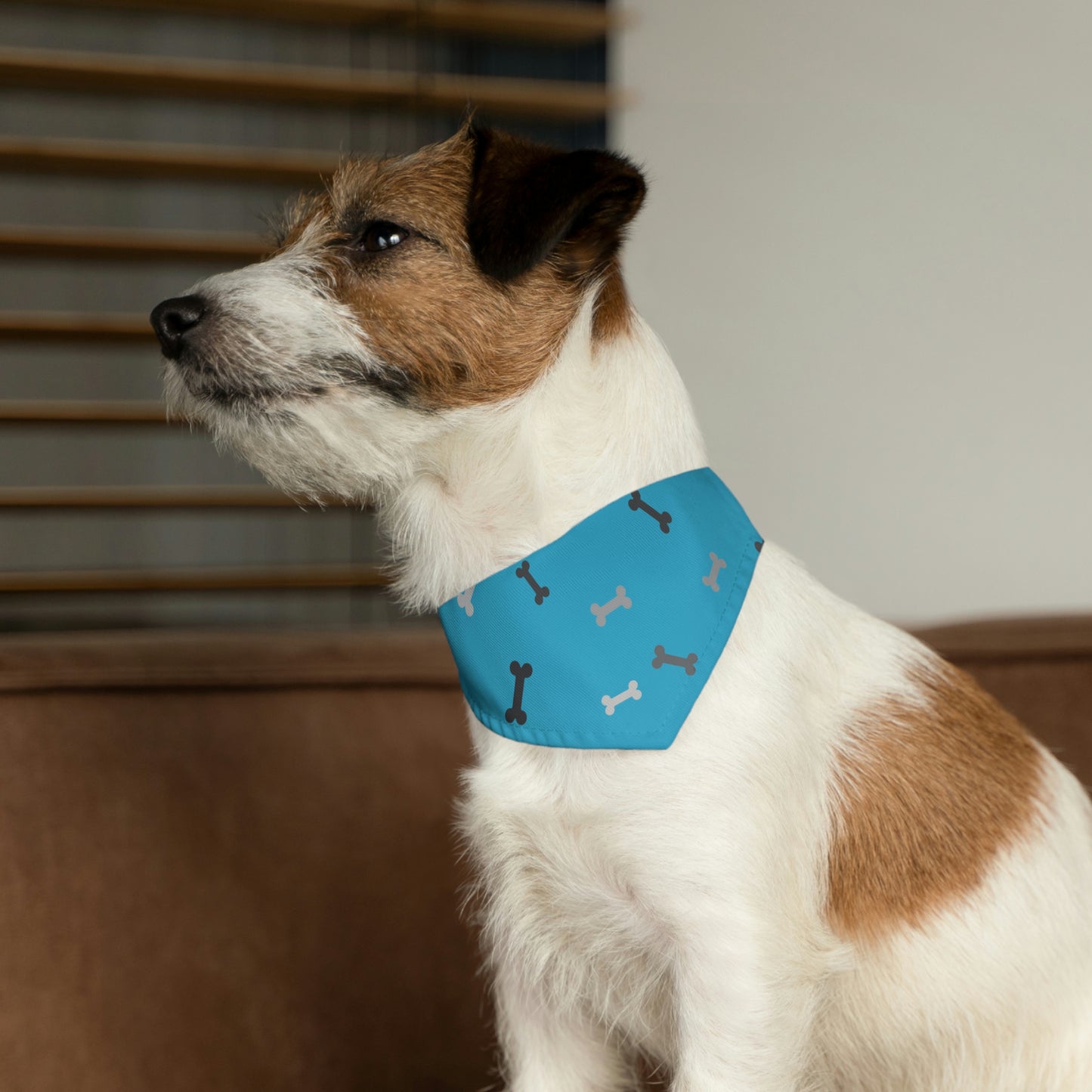 Blue Bone Pet Bandana Collar Pets