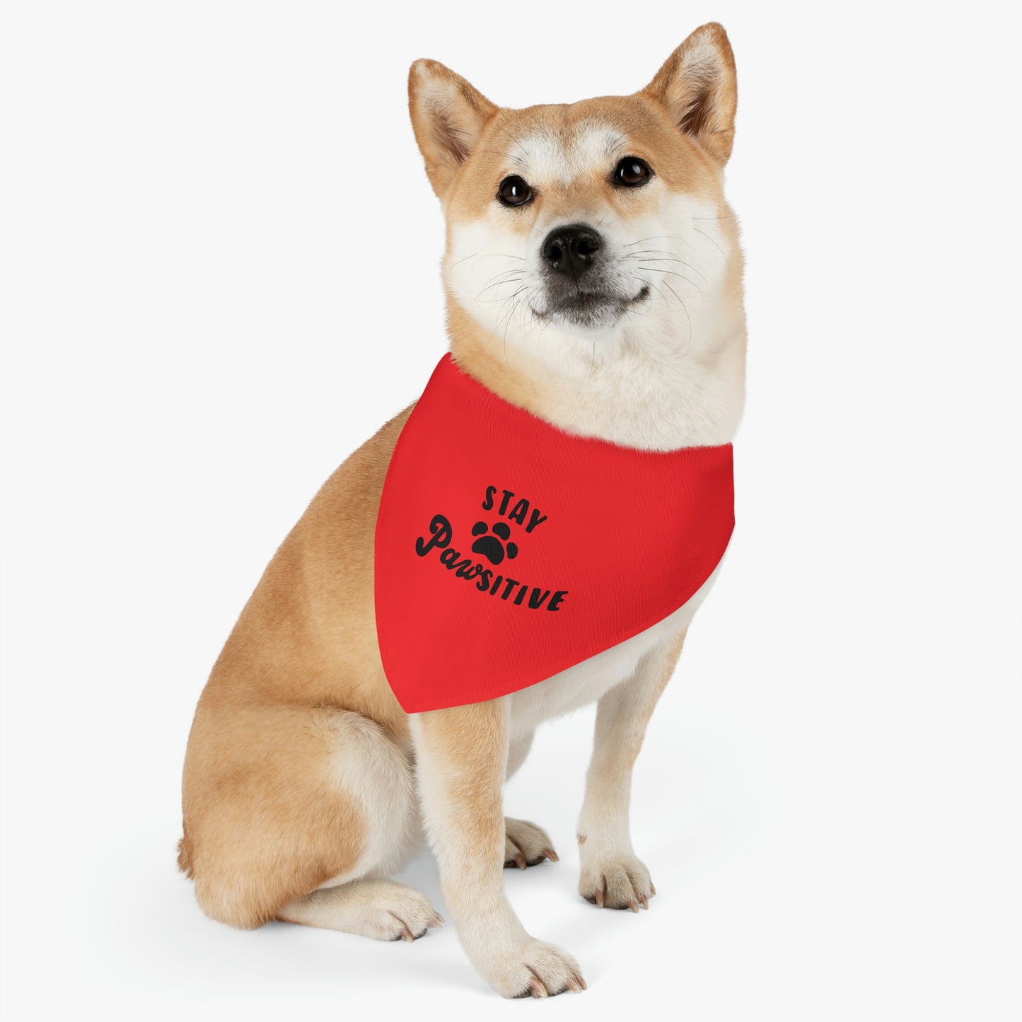 Stay Pawsitive Pet Bandana Collar Pets!