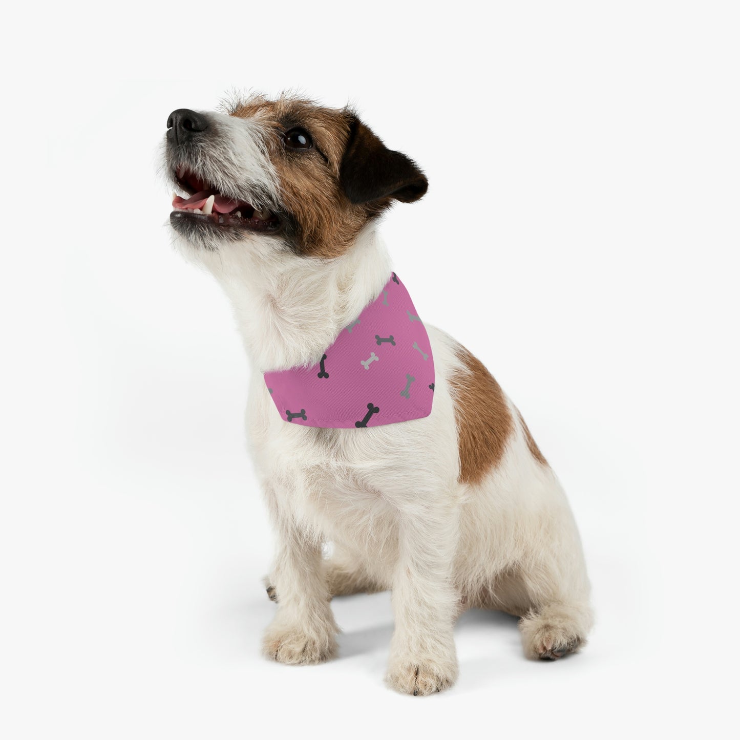 Light Pink Bones Pet Bandana Collar Pets