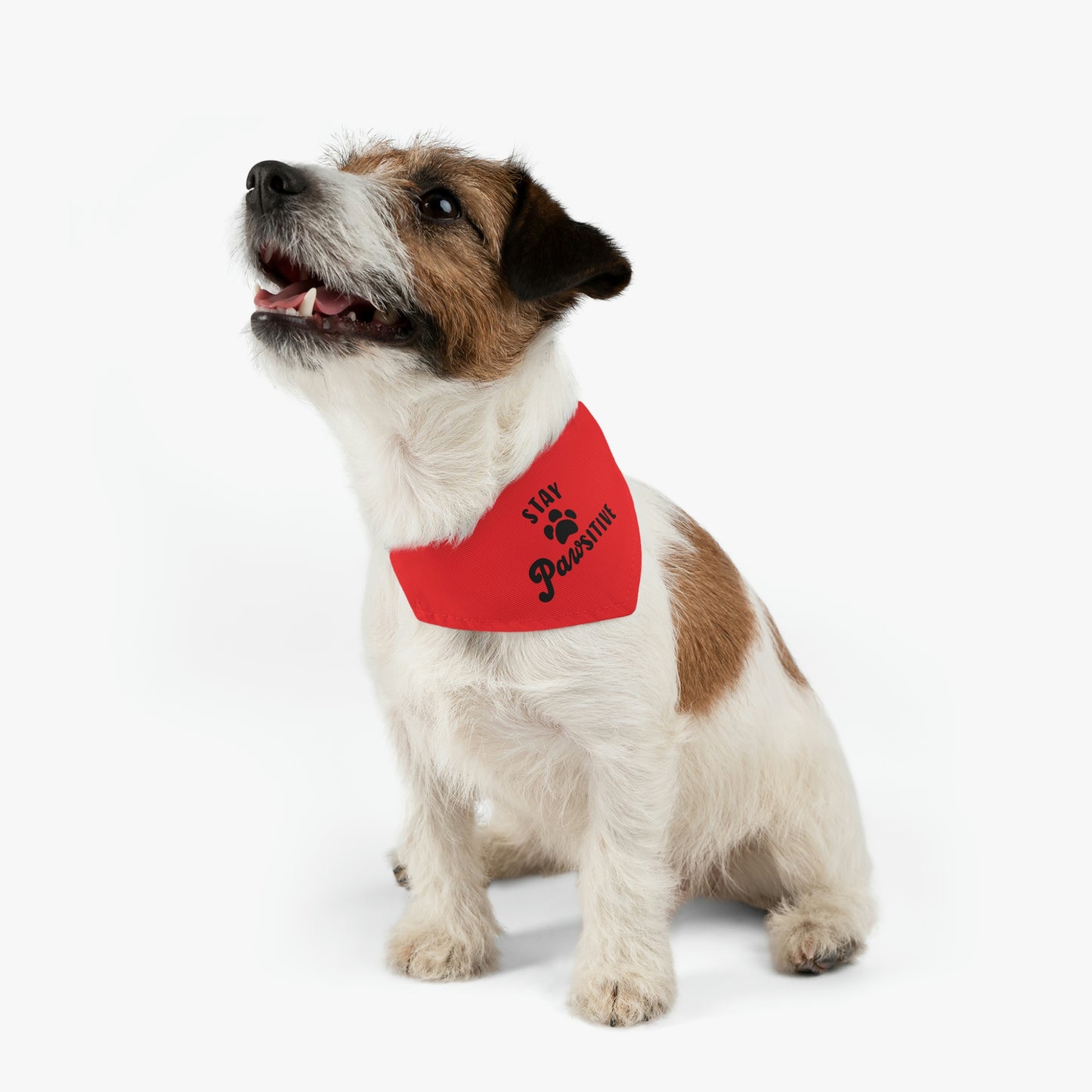 Stay Pawsitive Pet Bandana Collar Pets!