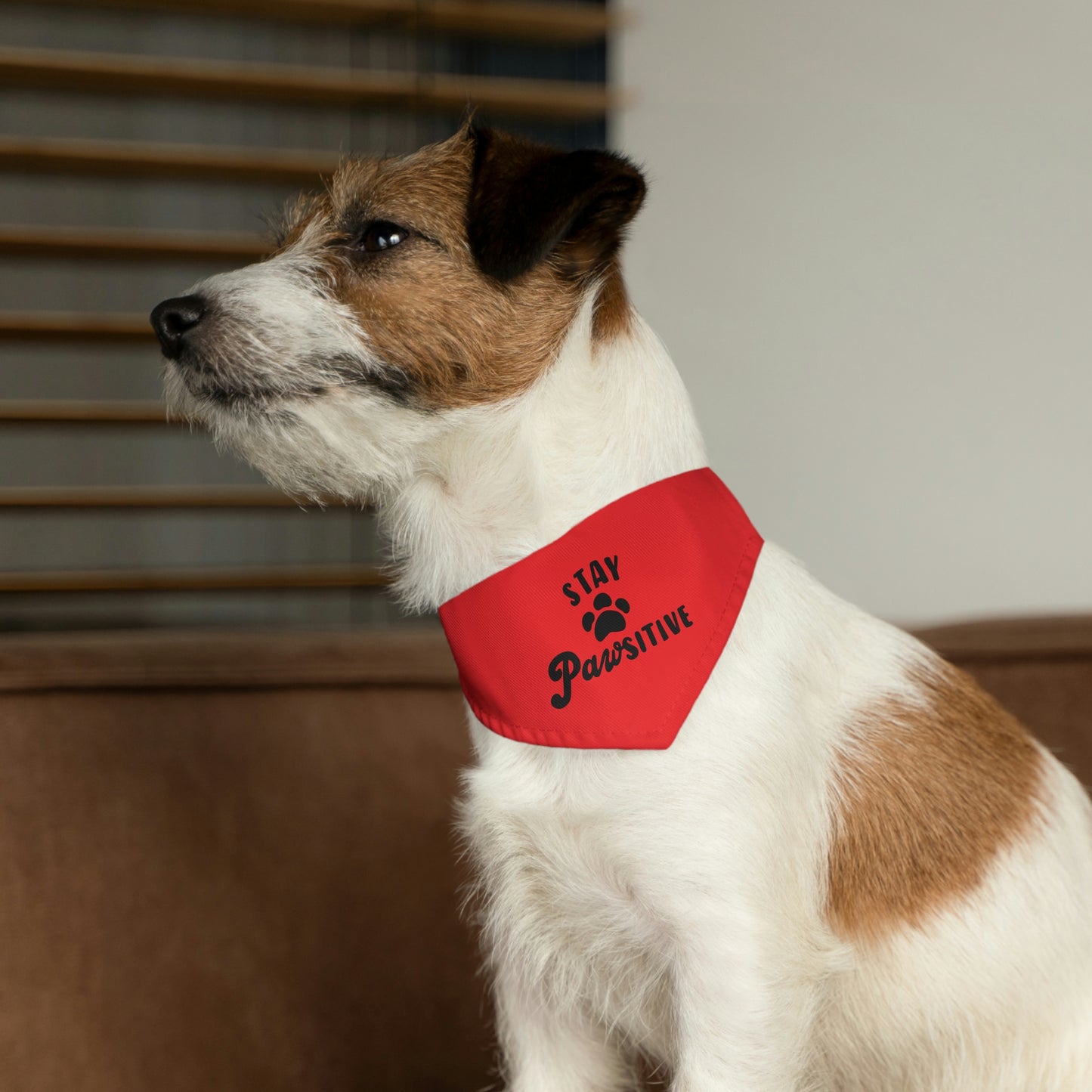 Stay Pawsitive Pet Bandana Collar Pets!