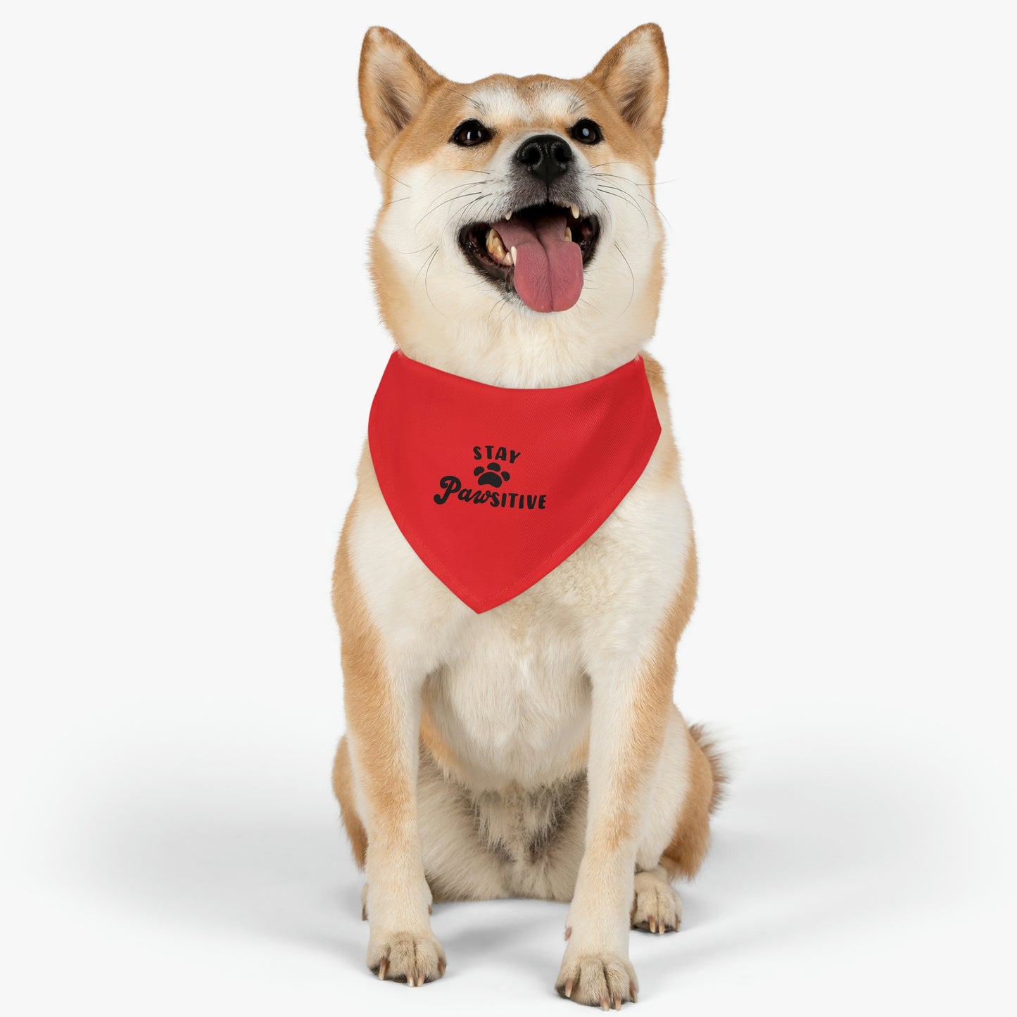 Stay Pawsitive Pet Bandana Collar Pets!