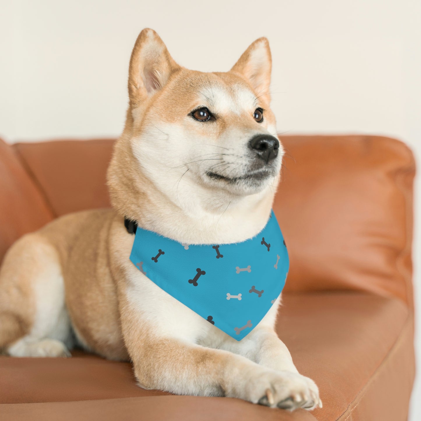 Blue Bone Pet Bandana Collar Pets