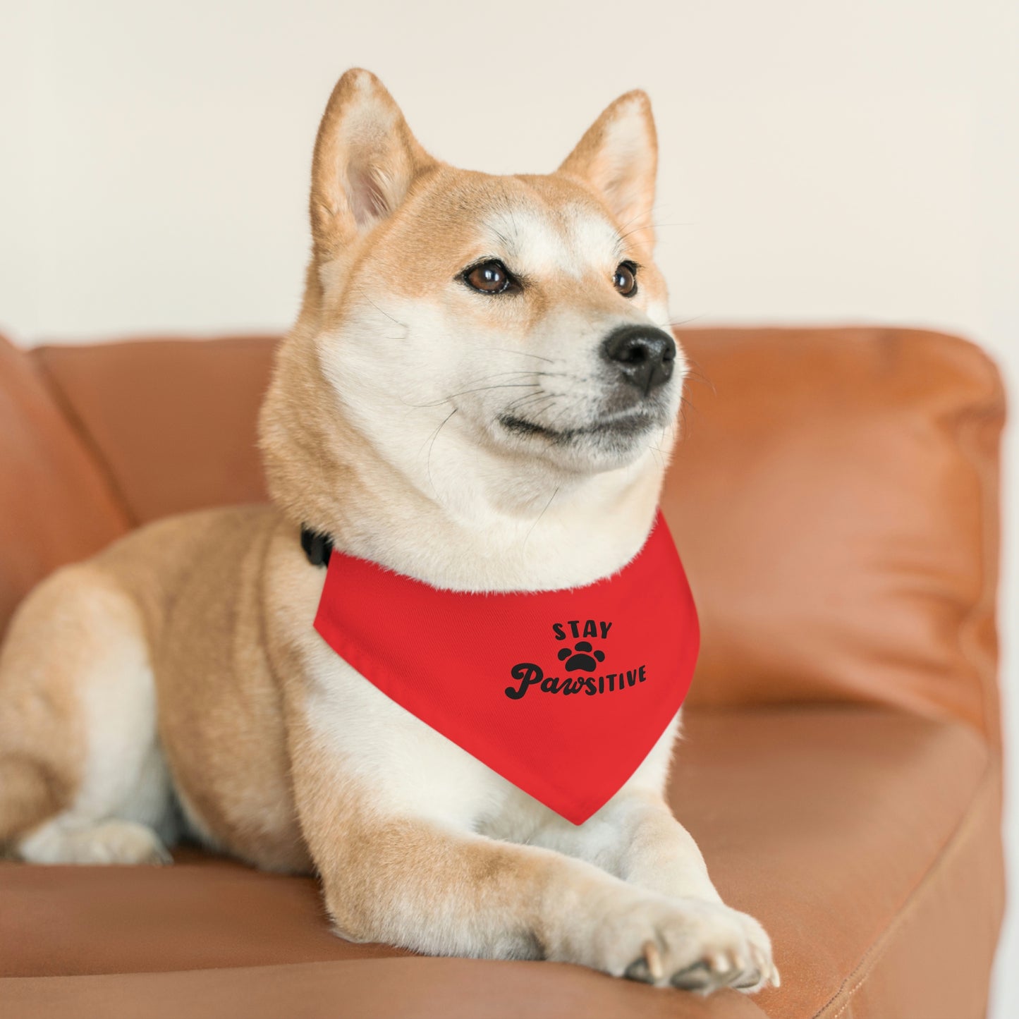 Stay Pawsitive Pet Bandana Collar Pets!