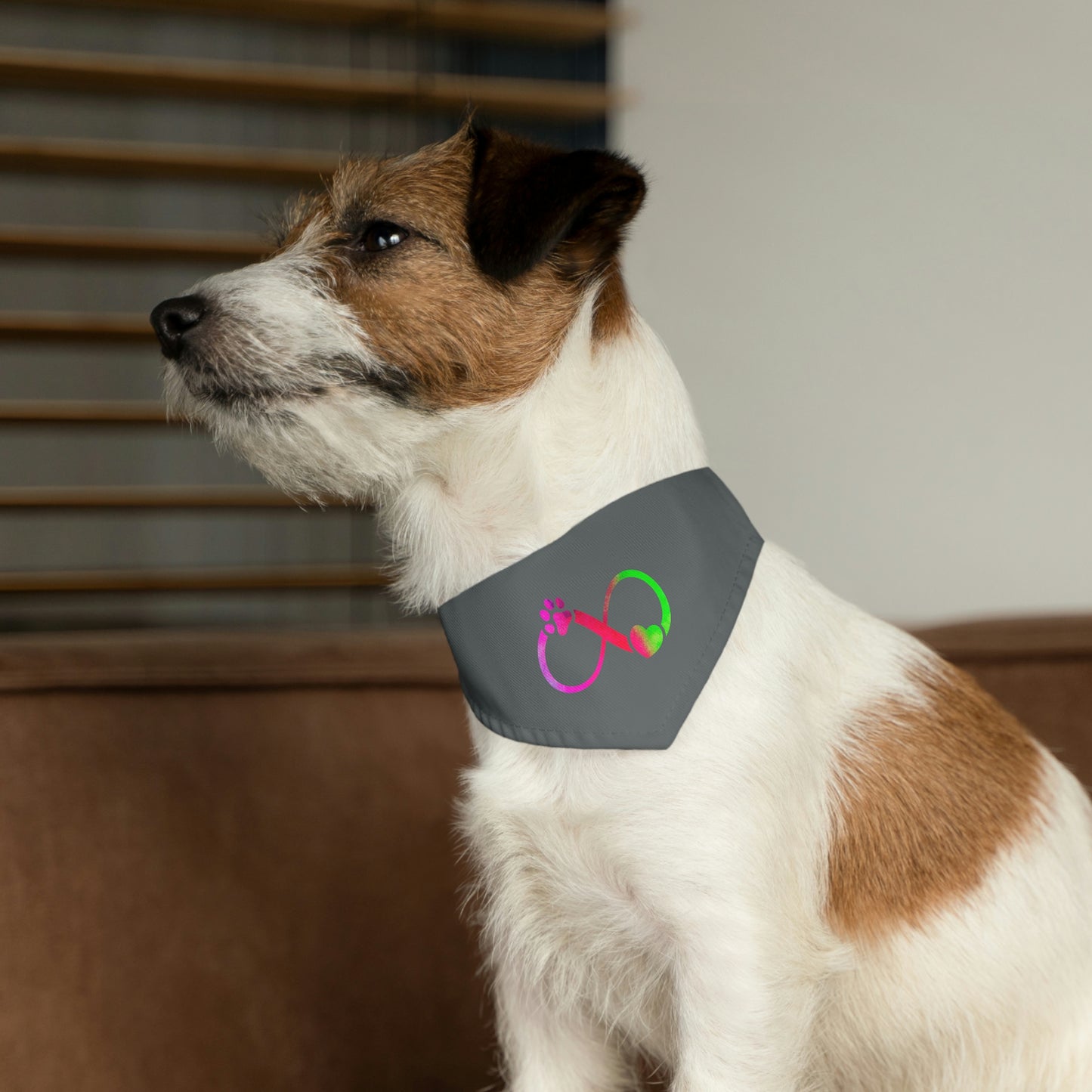 Infinity Paw Pet Bandana Collar Pets!