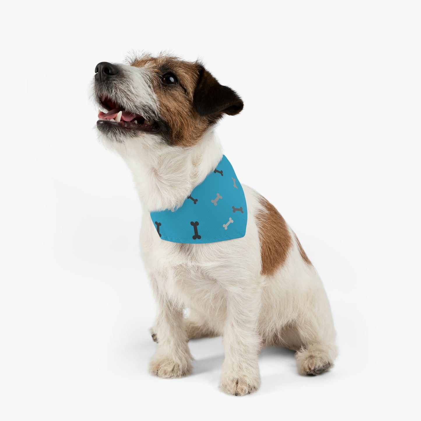 Blue Bone Pet Bandana Collar Pets